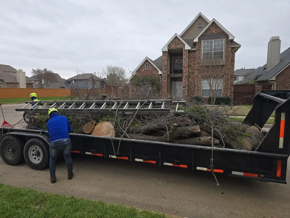 Expert Tree Fertilization with proper safety equipment in Red Devil